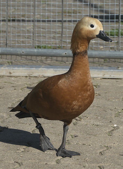 不断推进