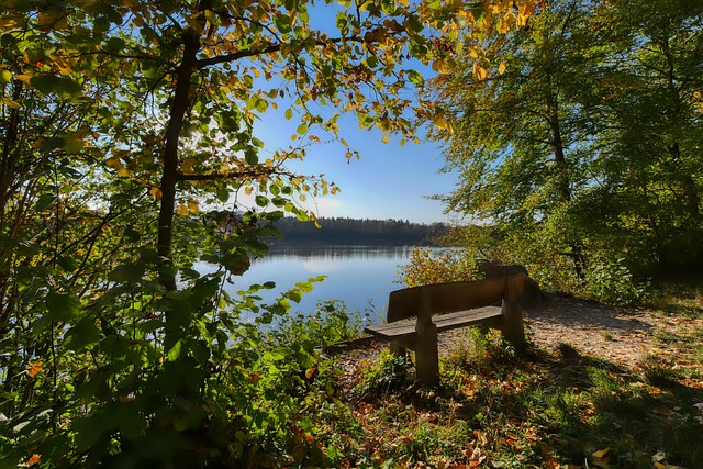 里昂俱乐部 里昂俱乐部