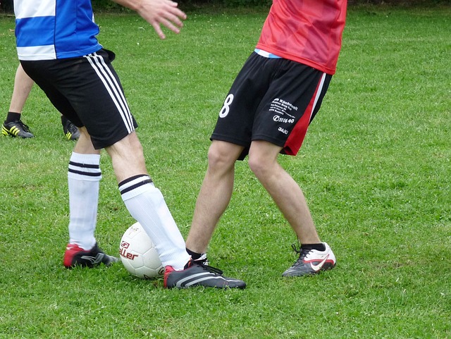 侠展现出了 侠展现出了