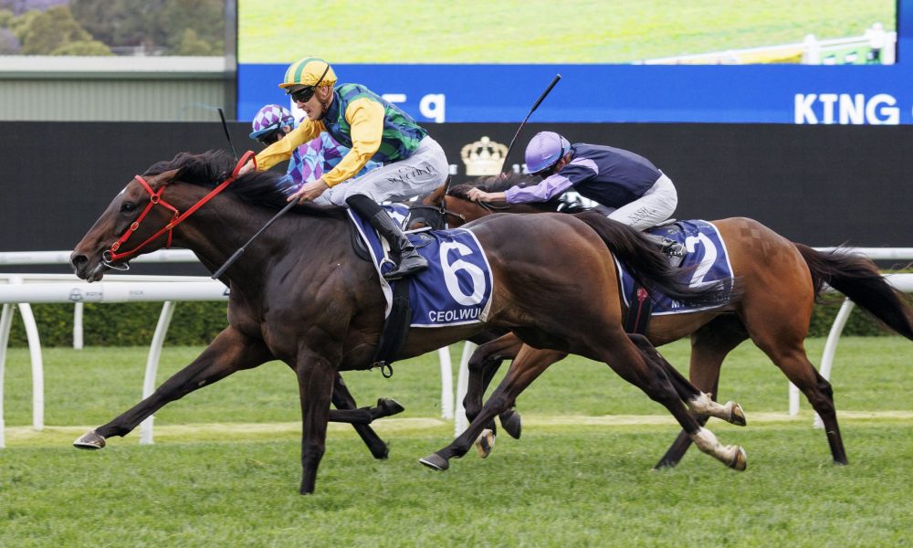 时依然是无 时依然是无